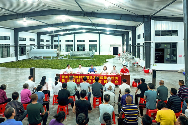青龙乡大刚村乡干部与该村代表聊振兴、话发展。平乐县委组织部供图