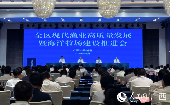 新闻发布会现场。人民网 何宁摄