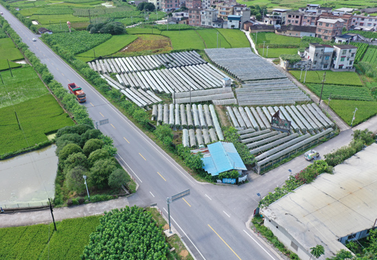 路况得到不断提升的国道321线梧州蒙山至桂林荔浦路段。潘珏云摄