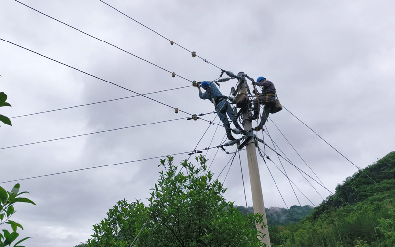 5月19日，南方电网广西桂林兴安供电局工作人员对故障线路进行抢修。谢小凤摄
