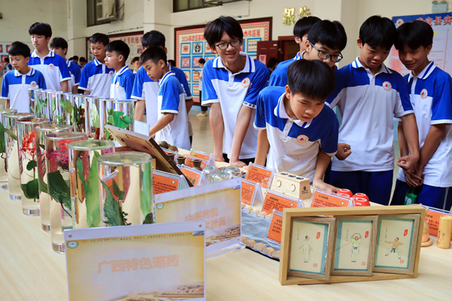 武宣县实验中学学生在参观中草药标本。