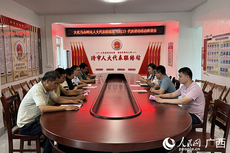 马山县和大化瑶族自治县定期开展座谈会进行交流。人民网 班小晴摄
