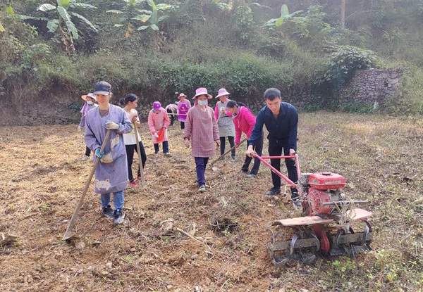 韦当（右一）帮助农户开垦农田。广西现代职业技术学院供图