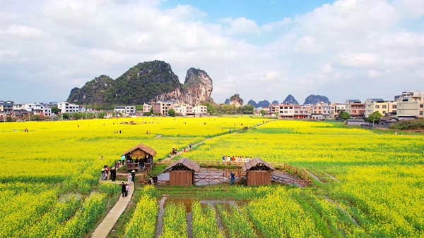 山边旅游区获评国家AAA级旅游景区、中国美丽休闲乡村、广西休闲农业与乡村旅游示范点等荣誉称号（刘志宁摄）.jpg