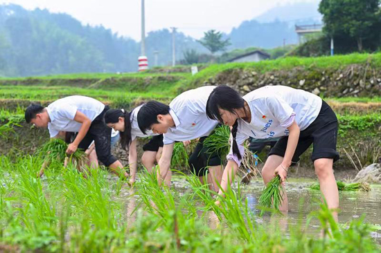 活动现场。广西师大学工部供图