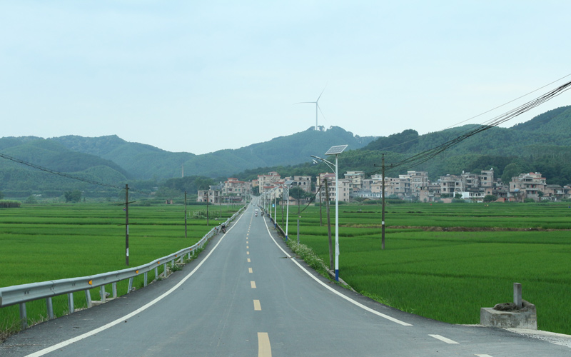 龍口村村容村貌，林運芳攝 (3)