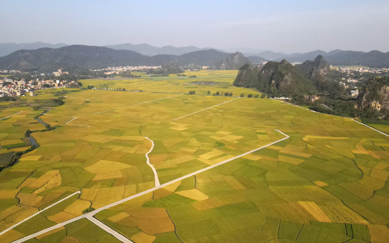 泉江村醉美田園，林運芳攝