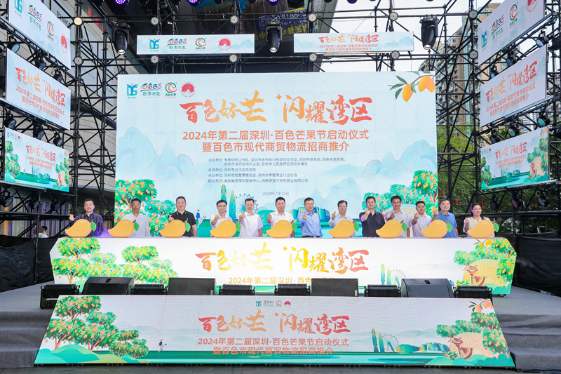 启动仪式活动现场。百色市商务局供图