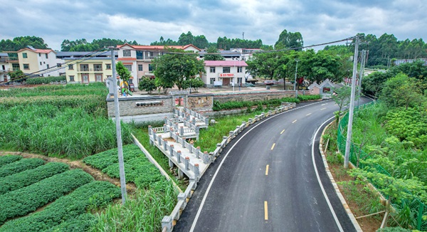 覃塘區大嶺鄉揚翔新村內煥然一新的公路