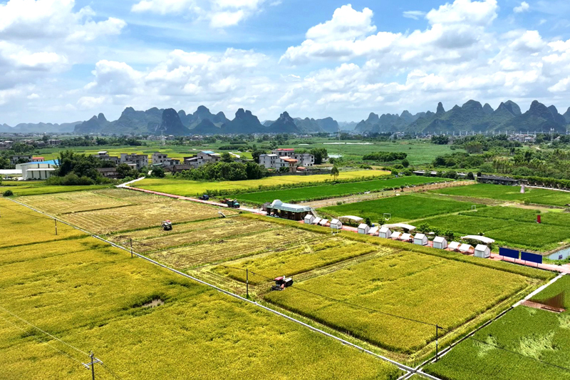 航拍“一都米”溯源种植基地。