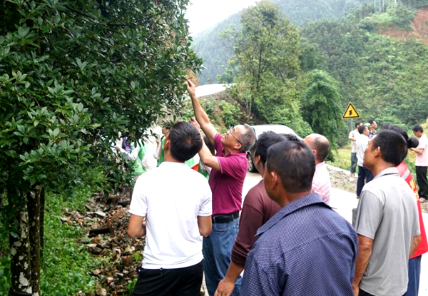 实践团指导专家给八角种植户进行现场培训。蒙玥盈摄