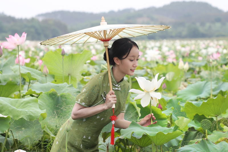 一名游客在花田里拍照。