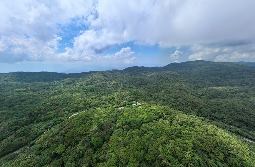 植被豐富的貓兒山保護區。人民網 付華周攝