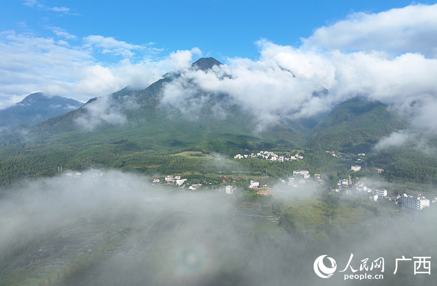 雲霧繚繞的貓兒山。人民網 付華周攝