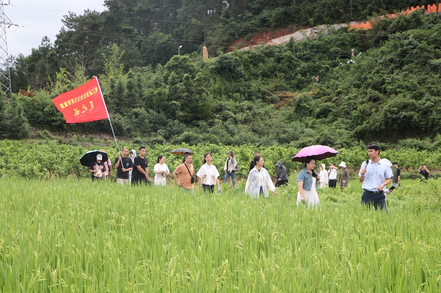 研学团在资源县长征国家文化公园（广西段）长征步道，沿着革命先烈足迹，重走长征路。