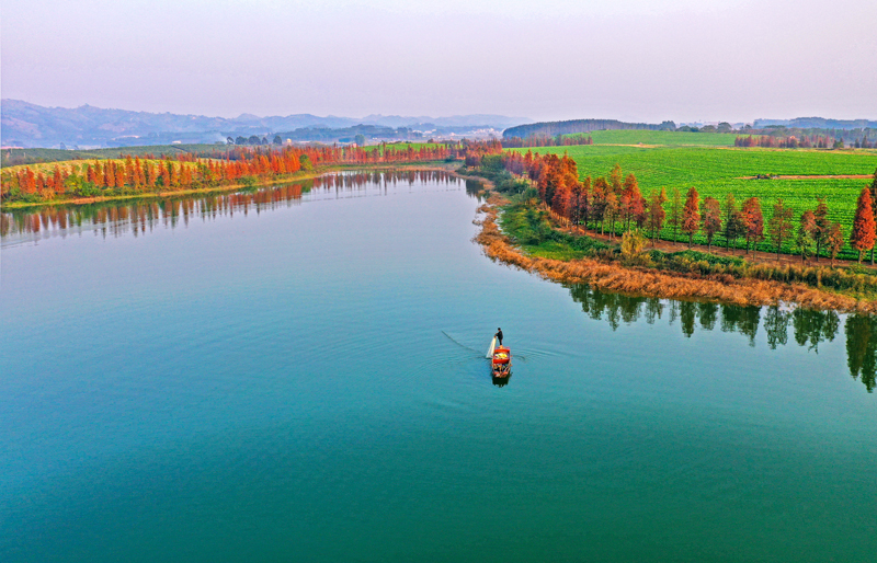 西津湿地公园。横州市委宣传部供图