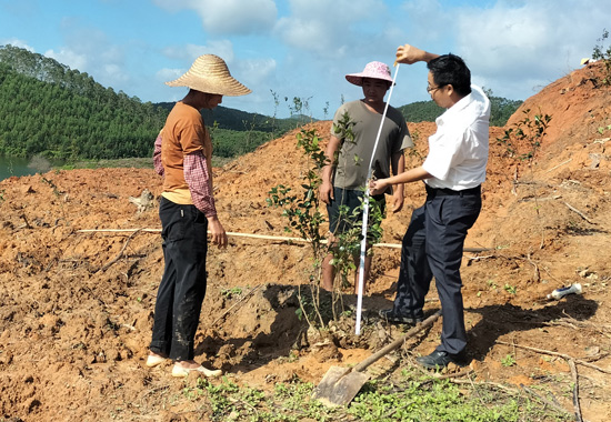 陈善锋讲解种植油茶的技术要领。浦北县委组织部供图