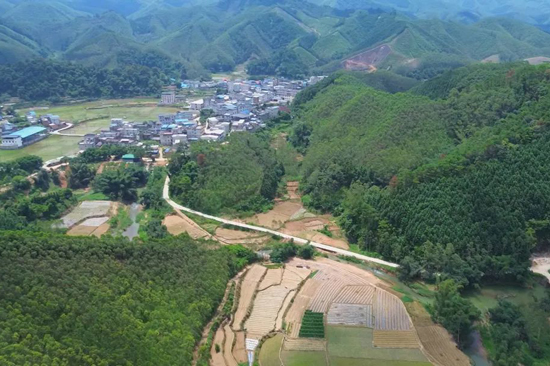 鎮龍山山勢盤虯起伏，一條平整的公路向著遠方的群山蜿蜒而去。