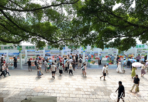 现场展位。人民网 雷琦竣摄