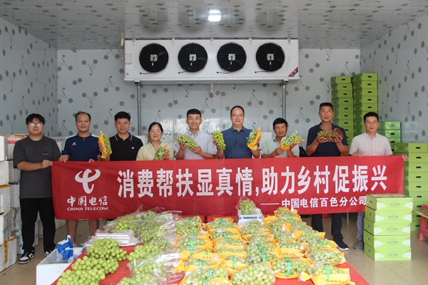 “爱心葡萄”即将发运。蓝波摄