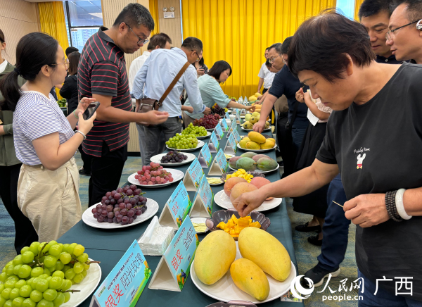 现场嘉宾品鉴“好吃葡萄”“好吃芒果”。人民网 何宁摄