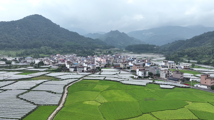 车田湾乡村振兴示范点项目