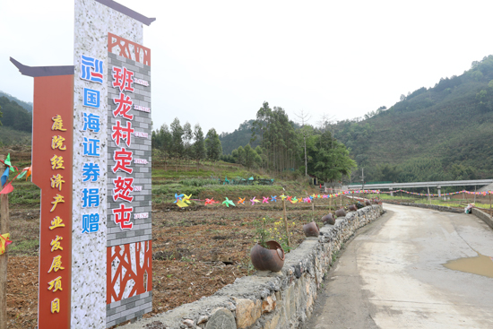 “一司一县”结对帮扶县田东县定怒屯的“微菜园”产业发展项目。国海证券供图