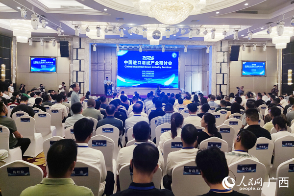 研讨会现场。人民网记者 王勇摄