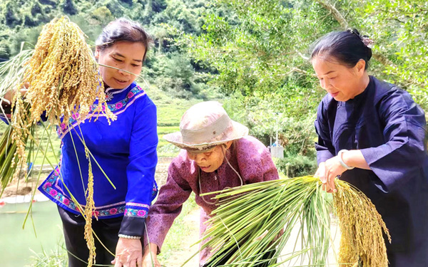 活动现场