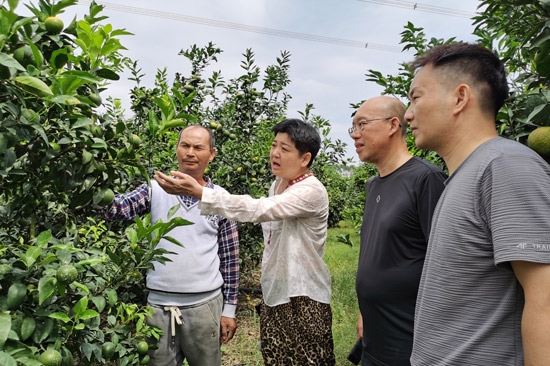 【水果专家实地指导果农进行柑橘管护】通讯员供图