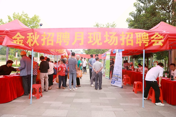 招聘会现场。陆锦婷摄