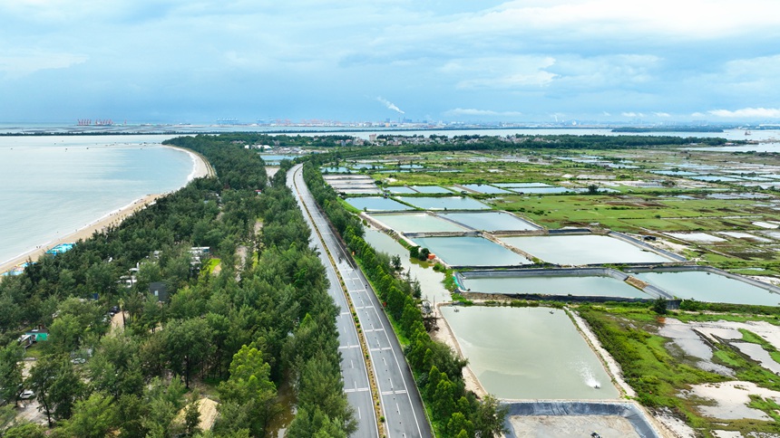 國道228線濱海公路欽州市欽南區犀麗灣路段。廣西公路發展中心供圖