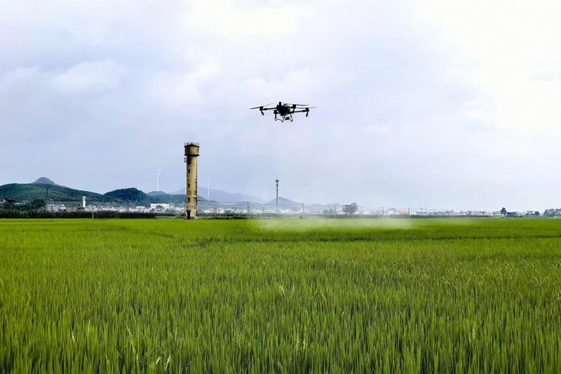 農用無人機正在田間作業。