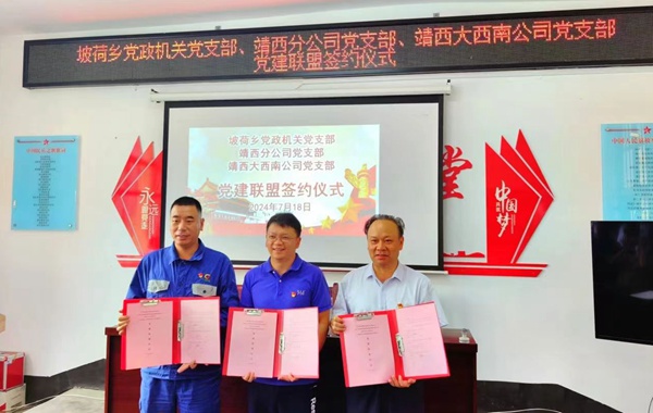 与那坡县坡荷乡党政机关党支部、广西交投集团百色运营靖西分公司党支部联合开展“党建联盟促发展 乡村振兴显担当”主题活动。广西大锰集团供图