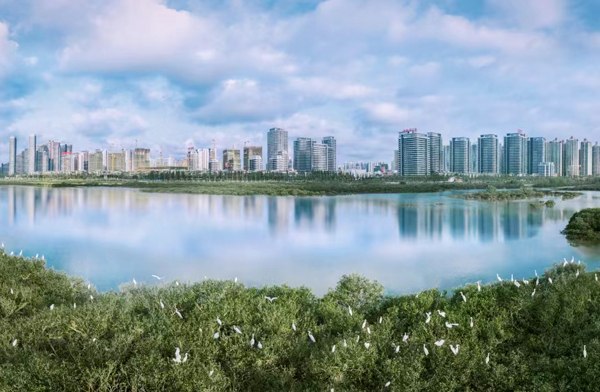 冯家江湿地公园