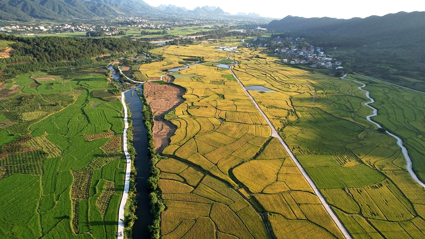 恭城瑶族自治县龙虎乡龙岭村实乐屯耕地提质改造项目“丰”景。将军华摄