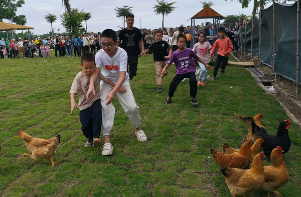 小朋友参与捉鸡游戏