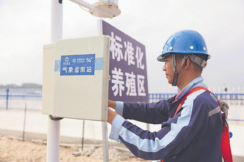5G助力海洋养殖业实现智慧化标准化管理。谢余玲摄