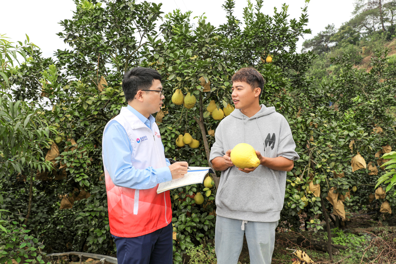 容县桂银村镇银行自良支行包玉海向曾庆钟了解种植基地情况。容县融媒体中心供图