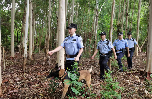 北海市公安局森林警察支隊民警輔警攜警犬正在開展山林巡查，守護候鳥遷徙安全。