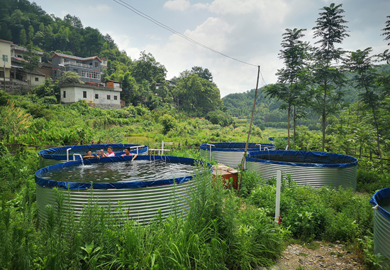 村民盘建发建成的圆桶养鱼基地。