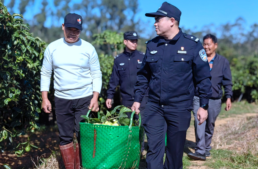 民警幫果農搬運百香果。