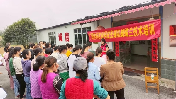 专家为蝴蝶兰组培基地工人授课。