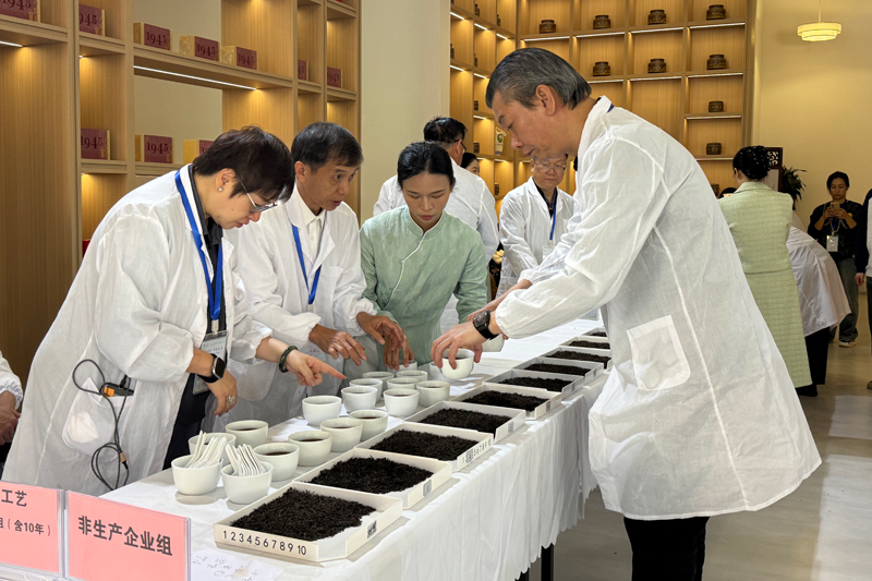 斗茶。李丽摄