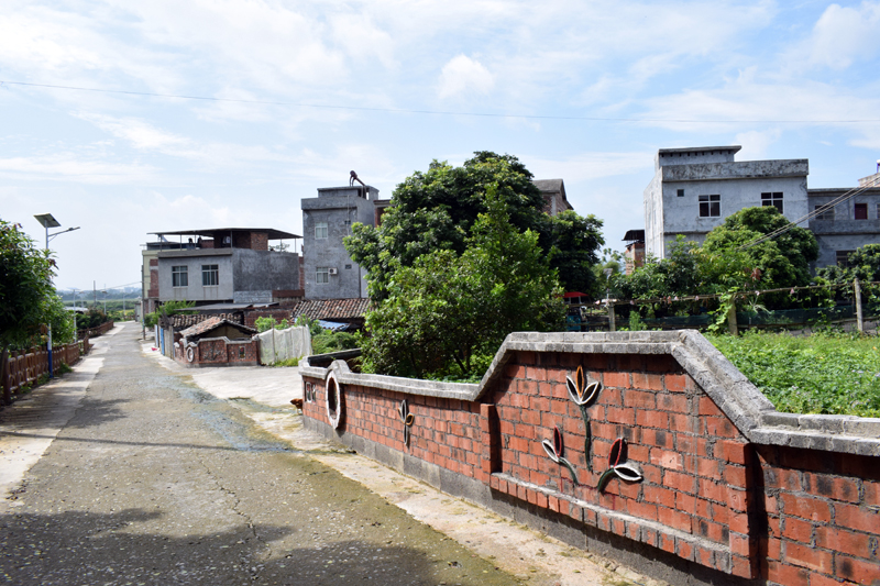 梅桑村建设小微菜园，村屯更宜居。平马镇人民政府供图