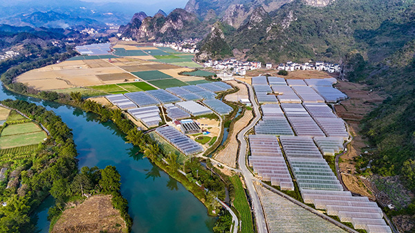 东巴凤持续推进田园综合体、特色农业示范区项目建设。河池市融媒体中心供图