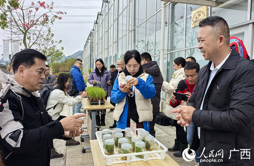 采风团在 了解。人民网 付华周摄