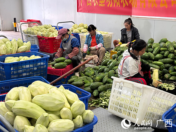 工人制作木瓜醬菜。人民網 何寧攝