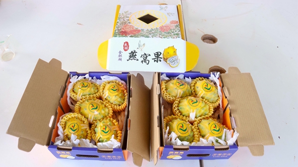 包装好的燕窝果。
