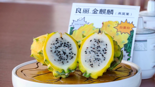 金麒麟（燕窝果）。